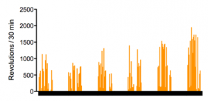 Six days of test data from a mouse in my setup. You can see how he begins to run more and more each night.